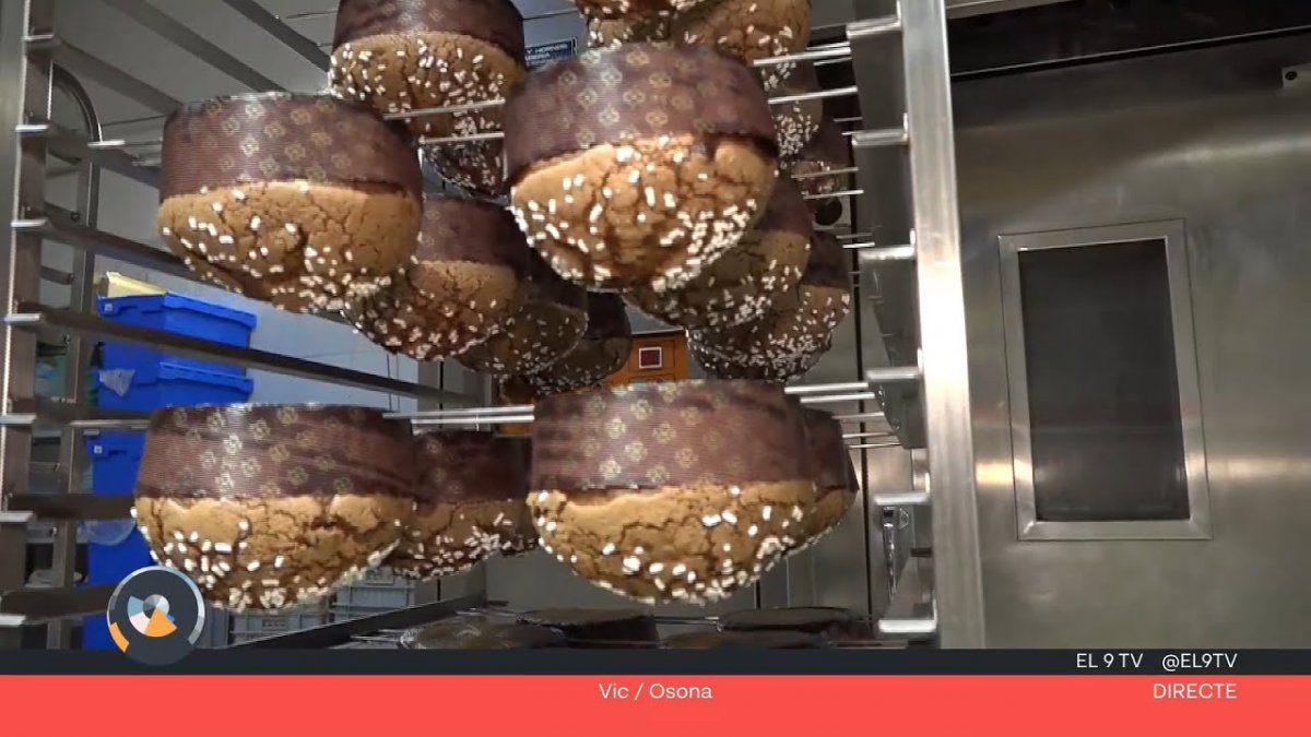 Els panettones penjats de cap per avall, per evitar que la massa es deformi