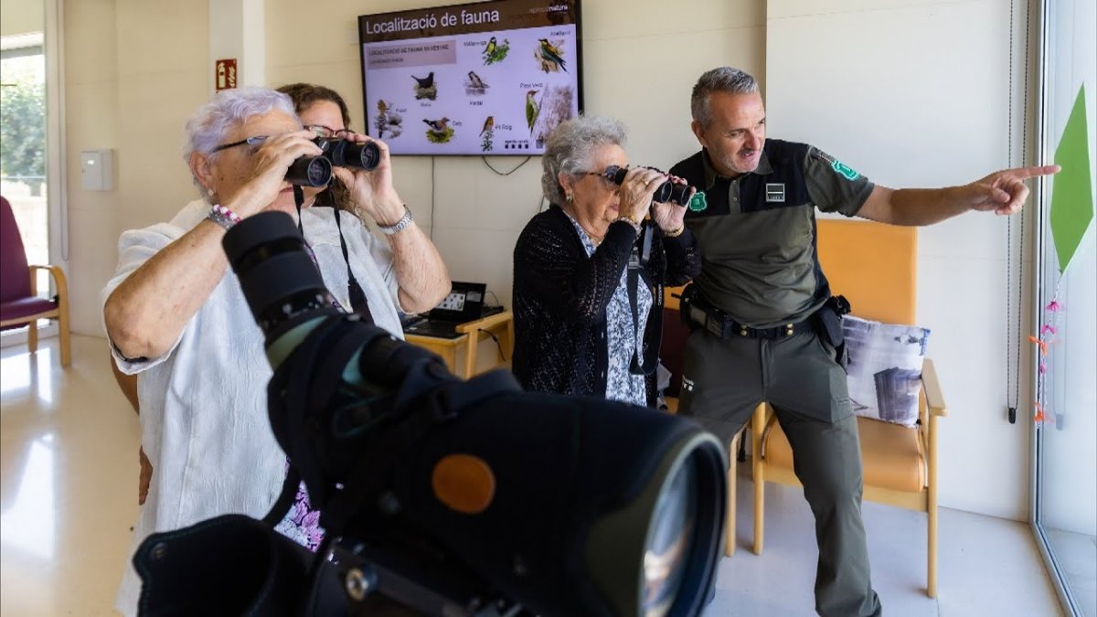 Bo_p2ApIr8gmaxresdefault