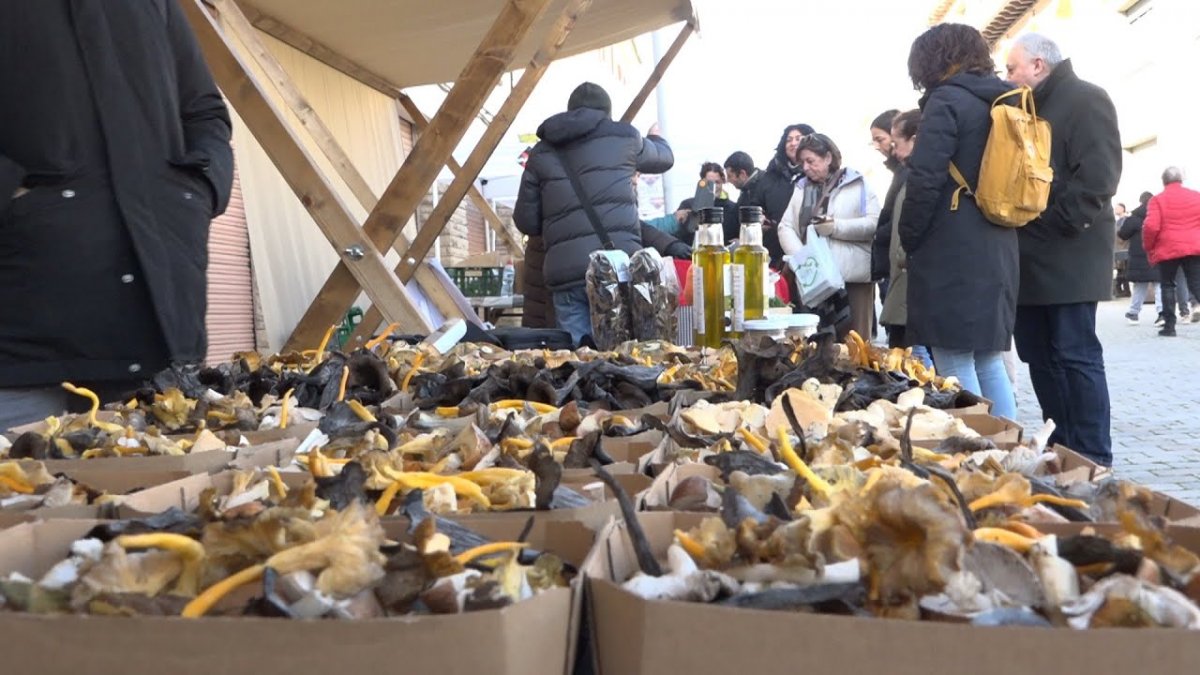 QCQo3fD1hBUmaxresdefault