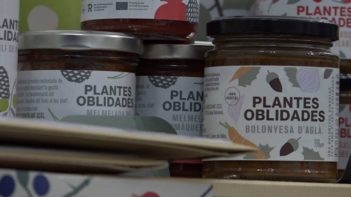 YLJcgvyptdsmaxresdefault