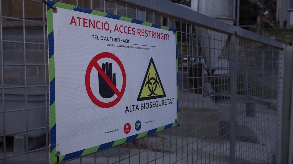 pSwaeXFyuEAmaxresdefault