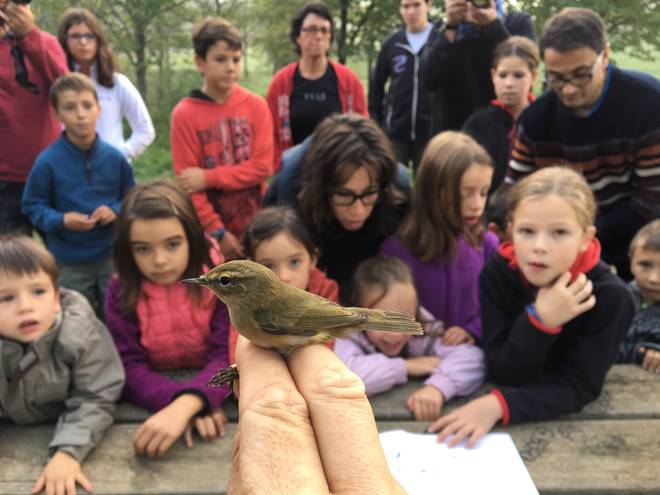 Unes vuitanta persones van participar al taller d’anellament d’ocells el passat dissabte al Puig dels Jueus