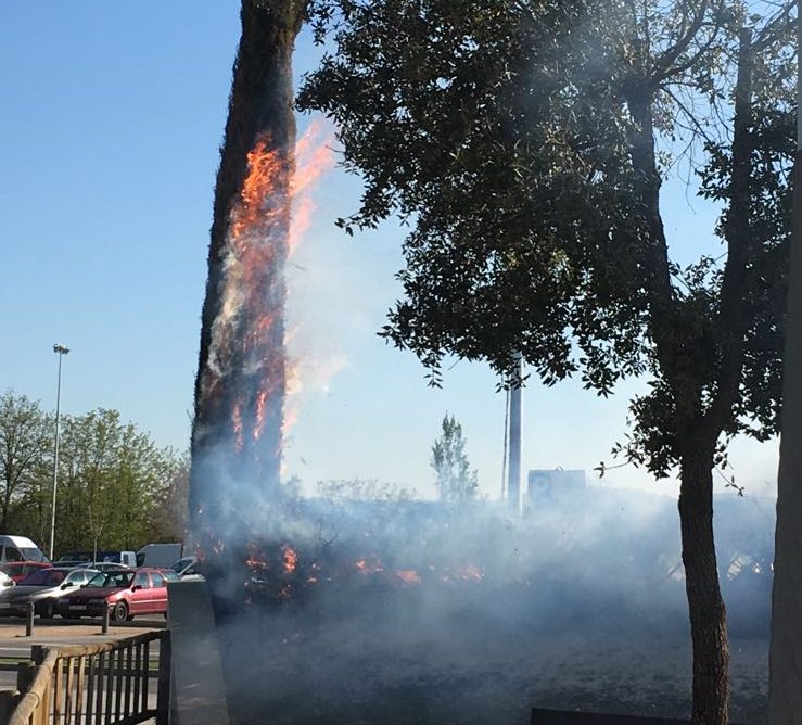 Imatges de l'incendi