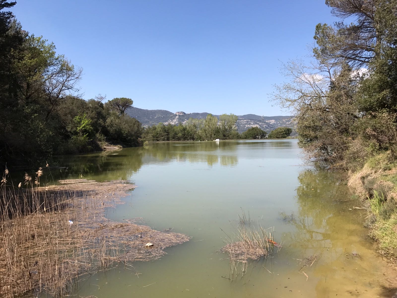 Pantà de VAll-Llosera, aquest divendres al matí