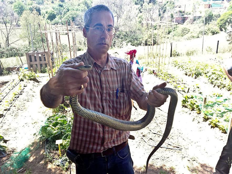 Toni Arrizabalaga amb la serp verda que es va trobar a l'escola