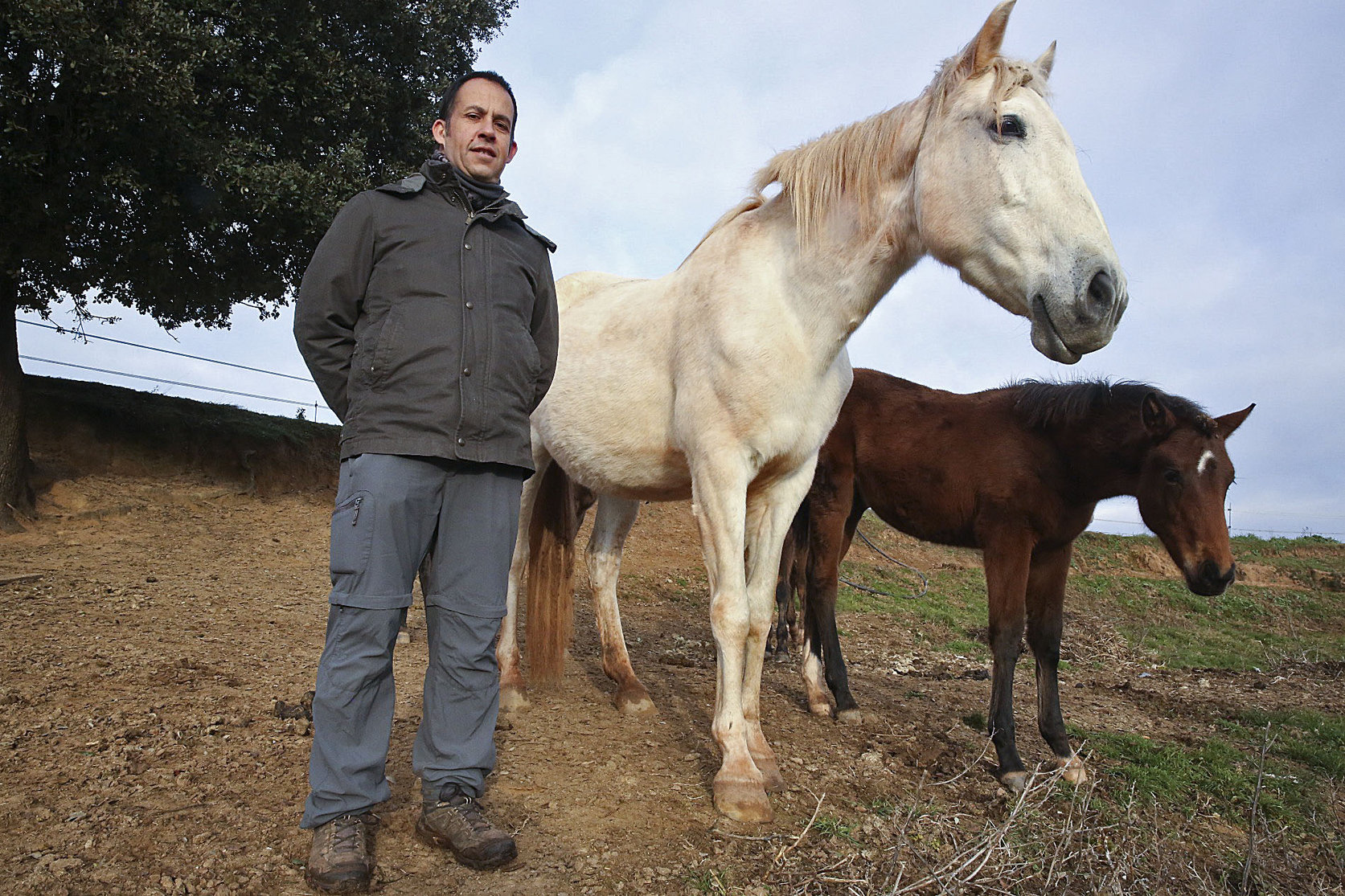 CREA Veterinaris deTaradell, amb Guillem Formiguera, el seu director tècnic, al capdavant, és un exemple d'empresa que innova al voltant del món del cavall