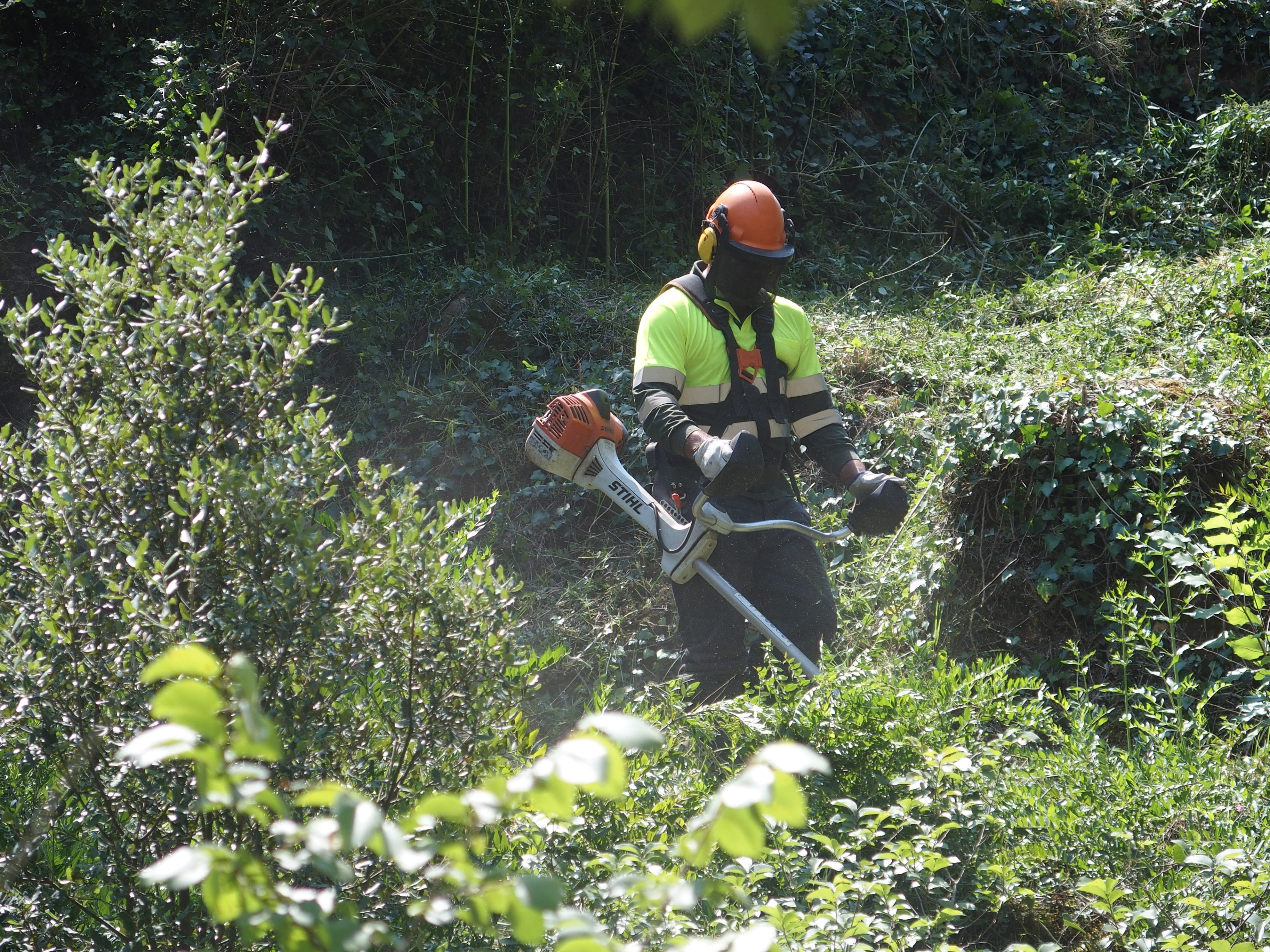 Treballs de neteja de boscos en la campanya d'estiu de la companyia