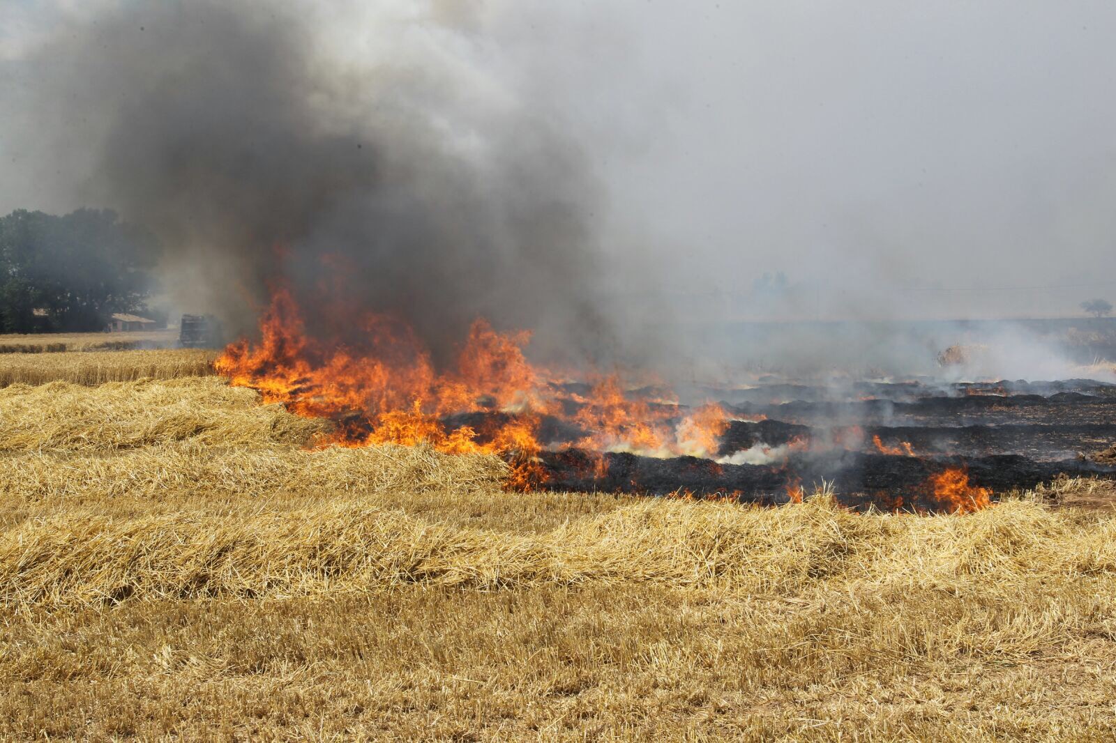 Imatge d'arxiu d'un incendi en un camp de conreu