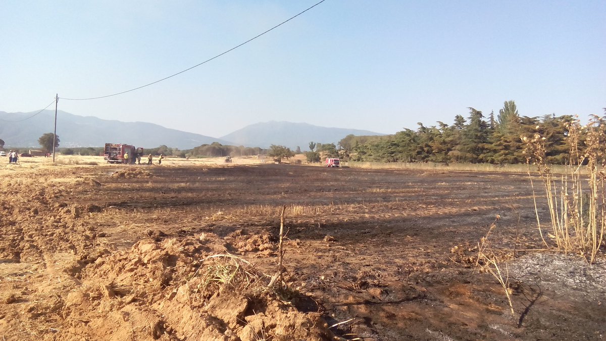 Imatge del camp afectat pel foc