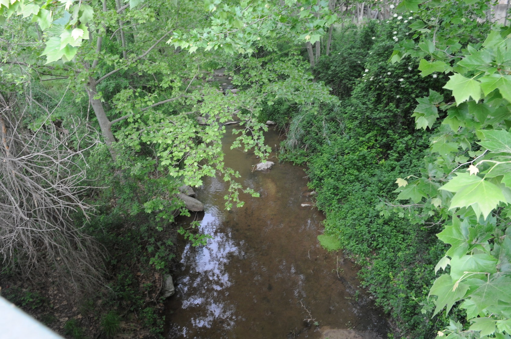 El riu ha patit altres abocaments, com el que es va produir el 2014, a la imatge