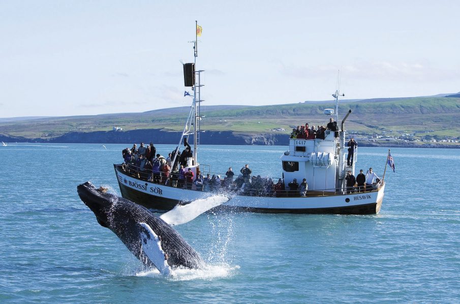 L'observació de balenes a Húsavík actualment és un dels atractius turístics d'Islàndia