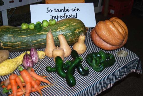Fruites i verdures imperfectes que per la seva forma no arriben a la majoria de comerços