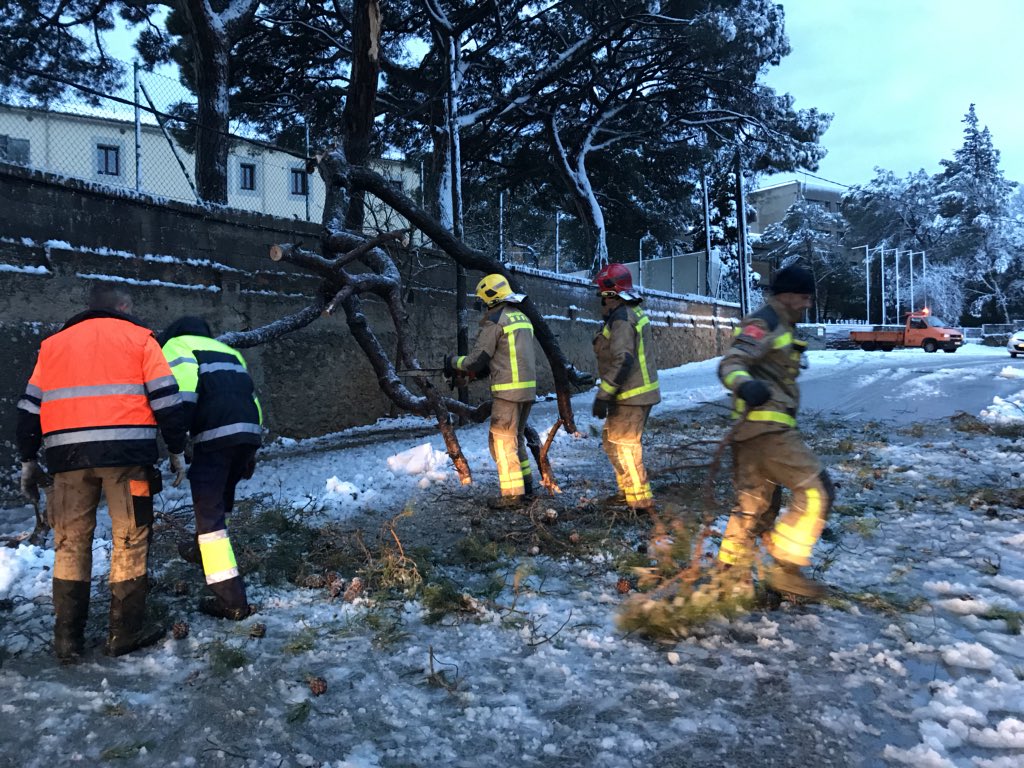 Els bombers treballant per retirar un arbre a Sant Fost