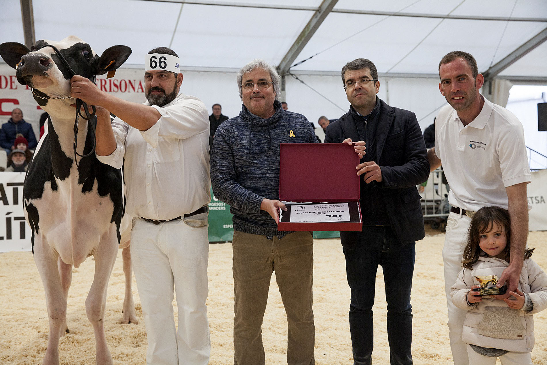Una vaca de Cal Marquet es va endur el premi de Gran Campiona