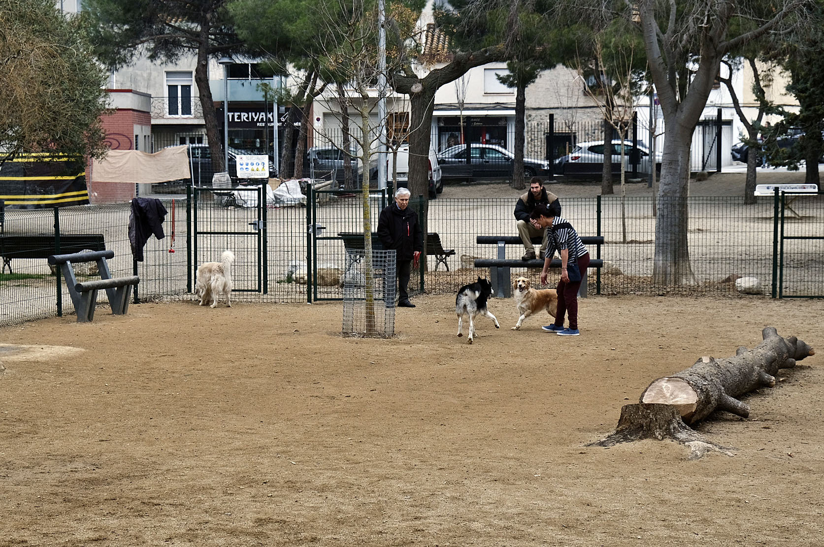 Uns gossos amb els seus amos a l'àrea d'esbarjo per aquest animals del parc Torràs Villà. Aquí sí que poden anar solts