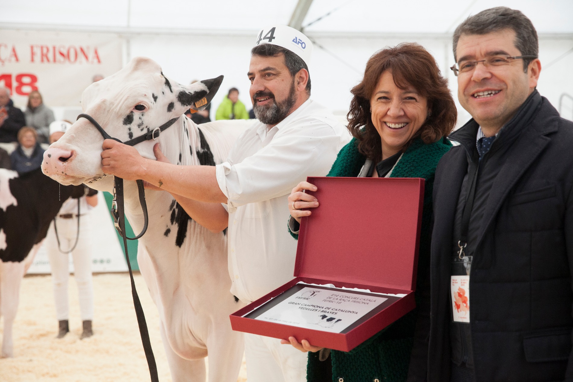 L'alcaldessa Anna Erra atorgant el premi de subcampiona brava a l'explotació Campgran de l'associació frisona d'Osona
