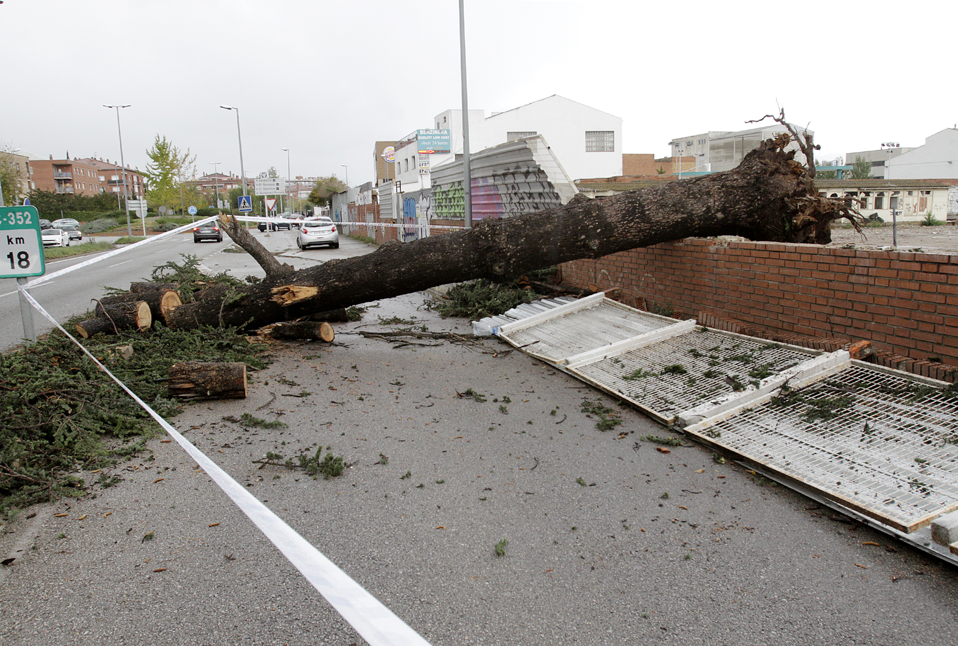 L'arbre caigut aquest dimecres a la ronda Sud, a l'entrada a Granollers des de la C-17