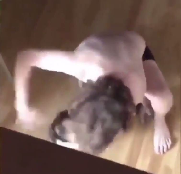Un moment del vídeo on es veia el jove maltractant un dels gossos