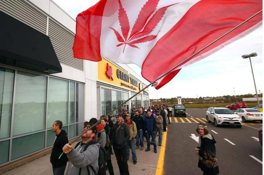-Llargues cues per aconseguir cànnabis al Quebec.