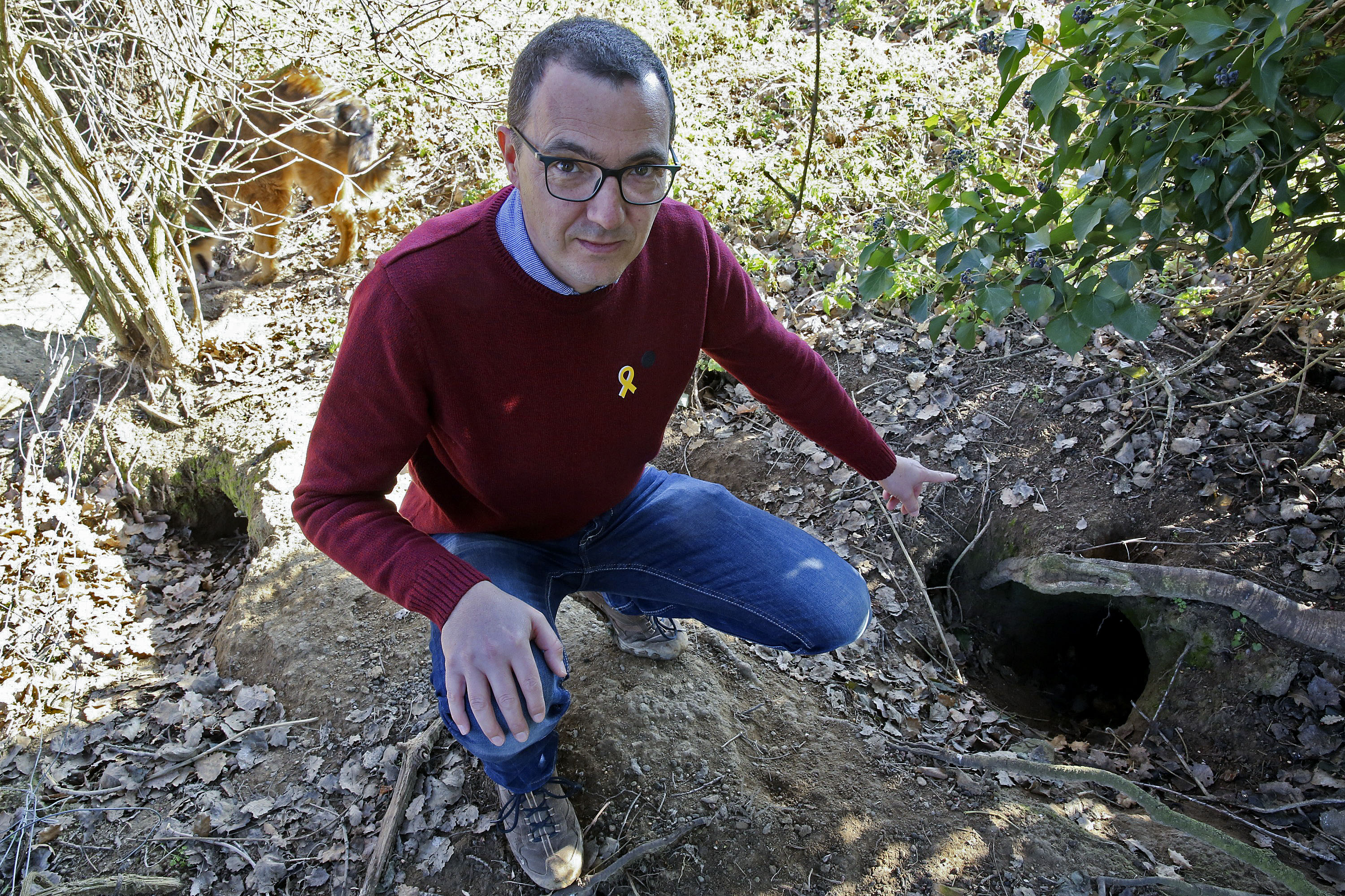 Carles Banús mostrant alguns dels caus de conills que hi ha al voltant dels camps, entrant al bosc
