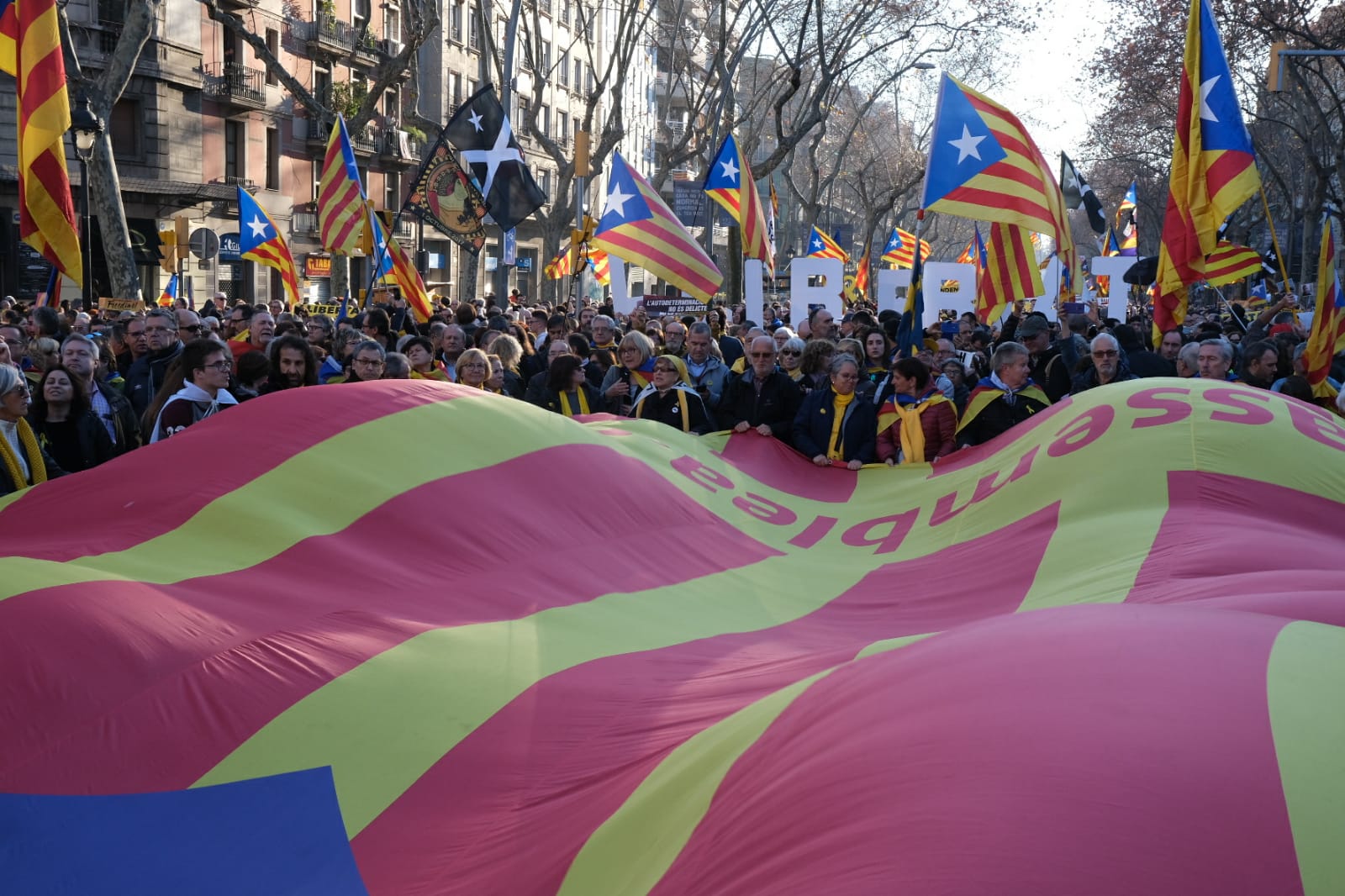 Osonencs a la manifestació d'avui a Barcelona