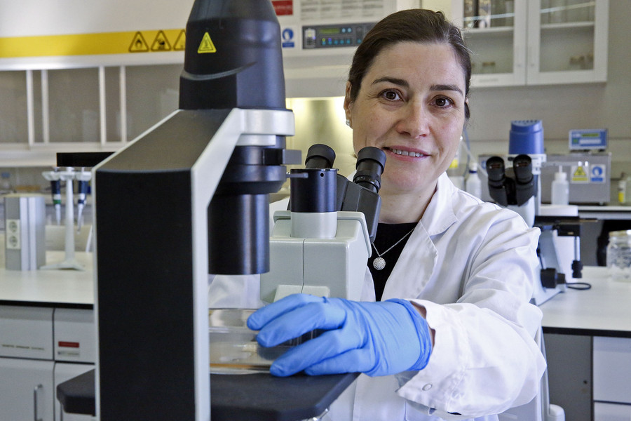 Marta Otero, treballant amb un microscopi en un dels laboratoris de biologia molecular de la UVic-UCC