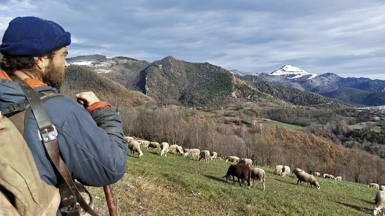 Jordi Juanola vigilant el seu ramat actual, de 600 animals, a les muntanyes de Rocabruna