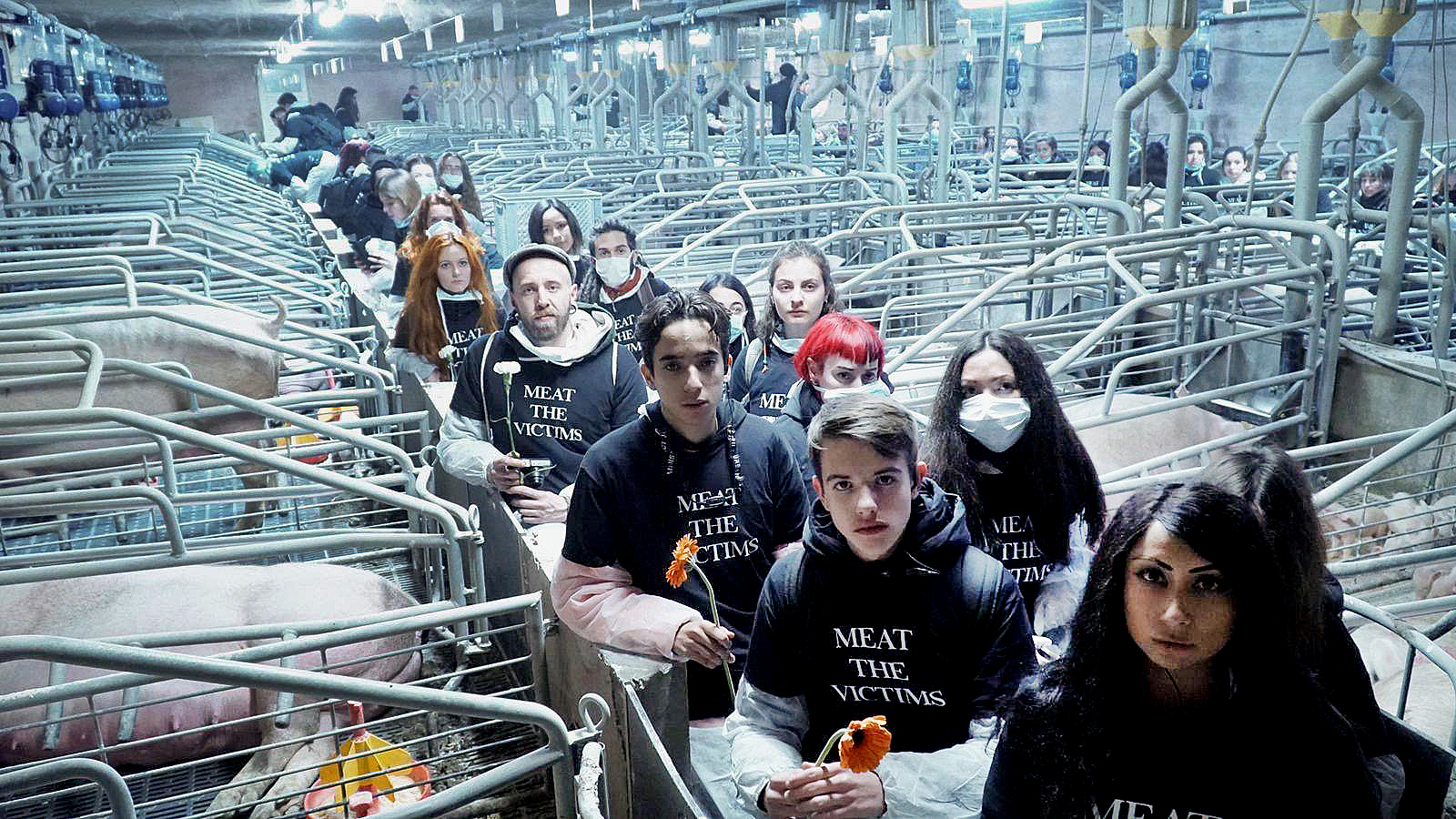 Els activistes animalistes de Meat the Victims diumenge passat a la granja de Sant Pere de Vilamajor