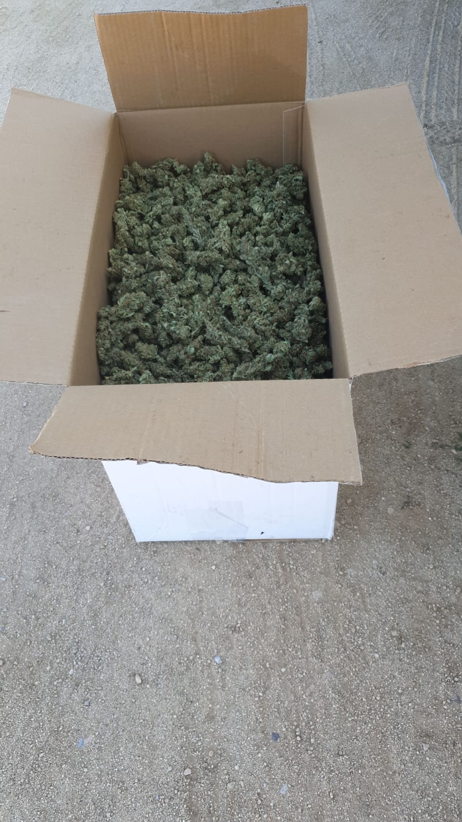 La caixa amb els cabdells de marihuana