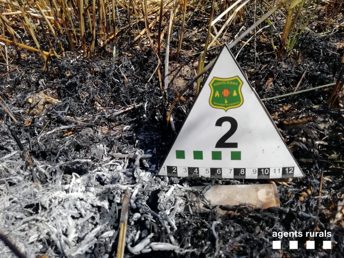 Els agents forestals investiguen la causa del foc
