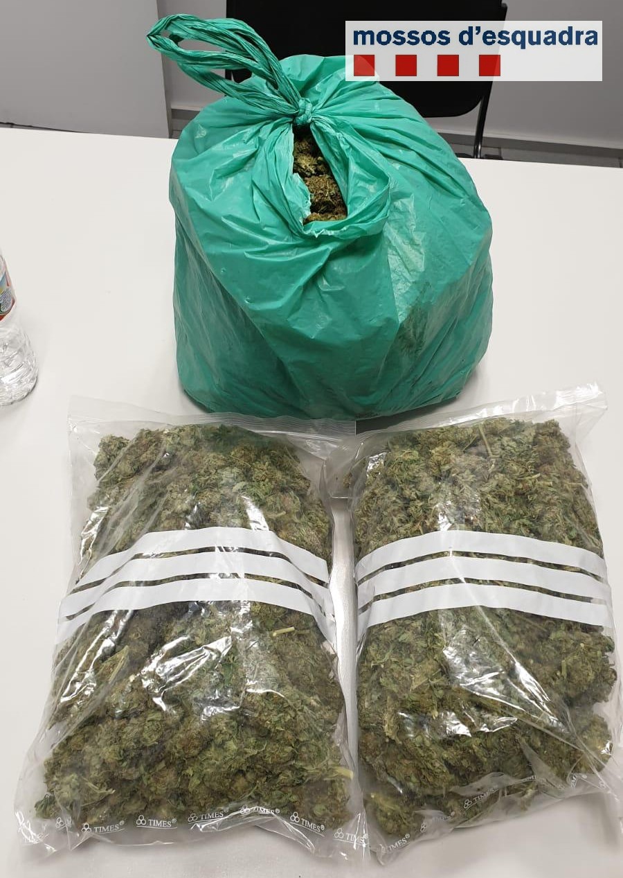 Els agents van trobar tres bosses amb 1,5 kg de marihuana