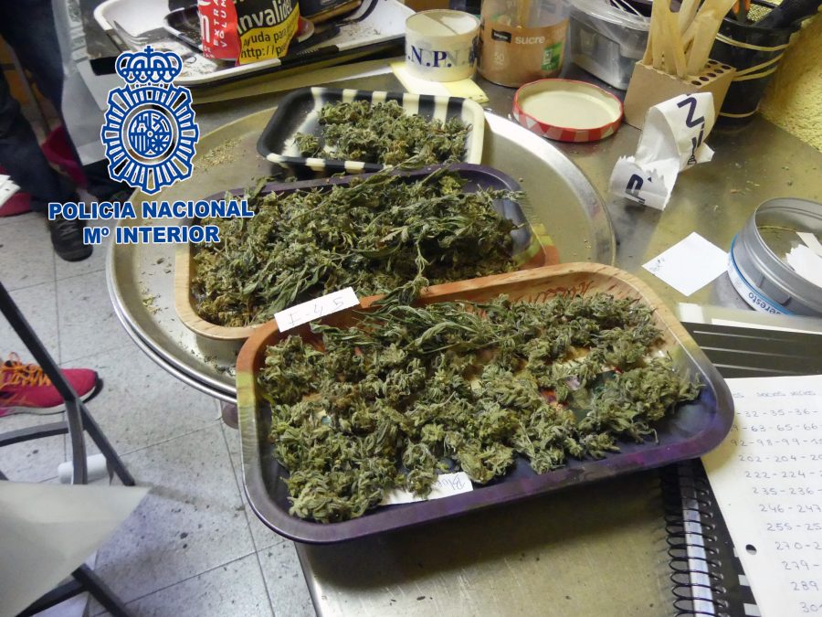 La marihuana intervinguda durant l'operatiu policial