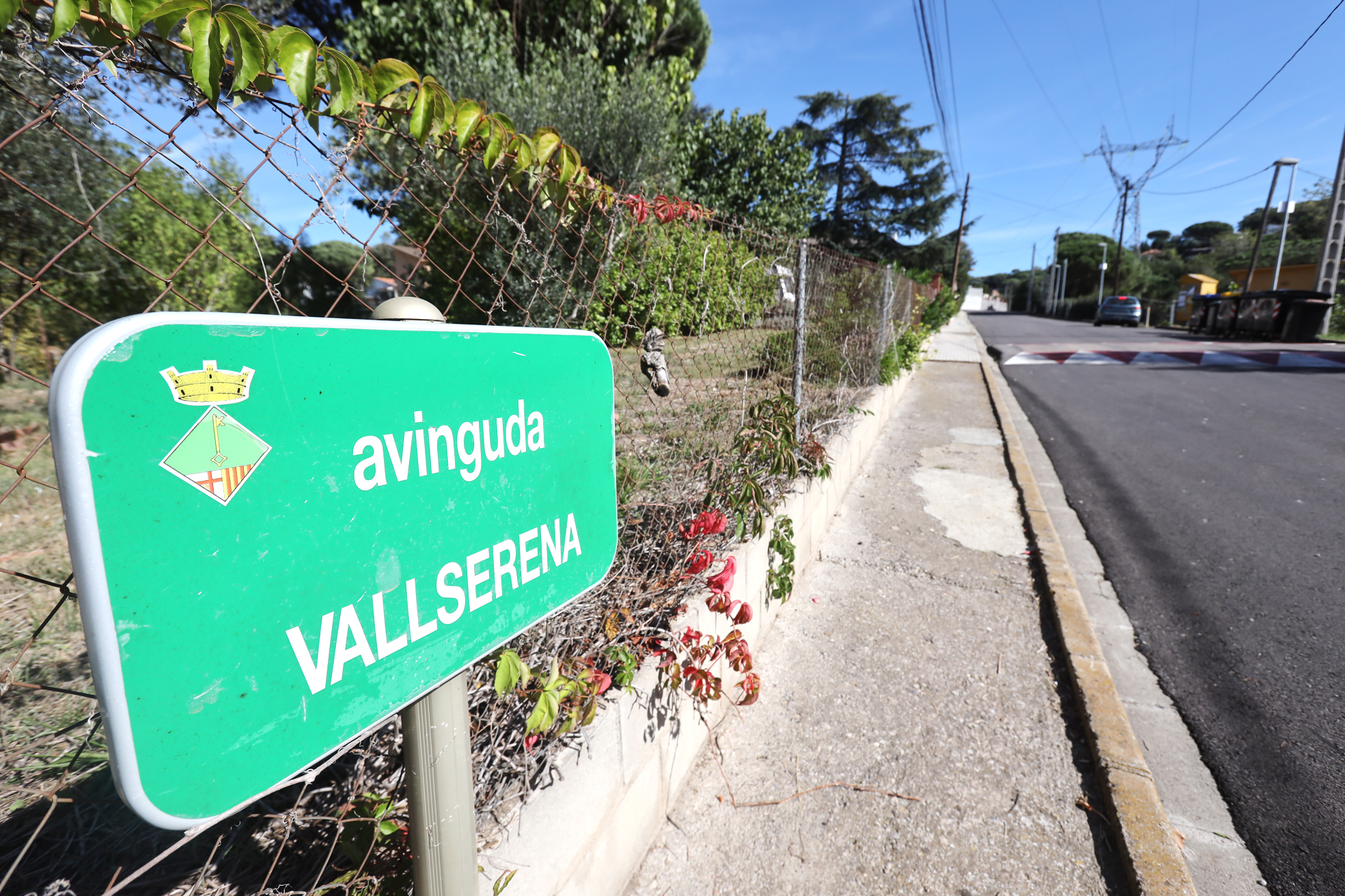 Un dels carrers de la urbanització de Vallserena, a Sant Pere de Vilamajor