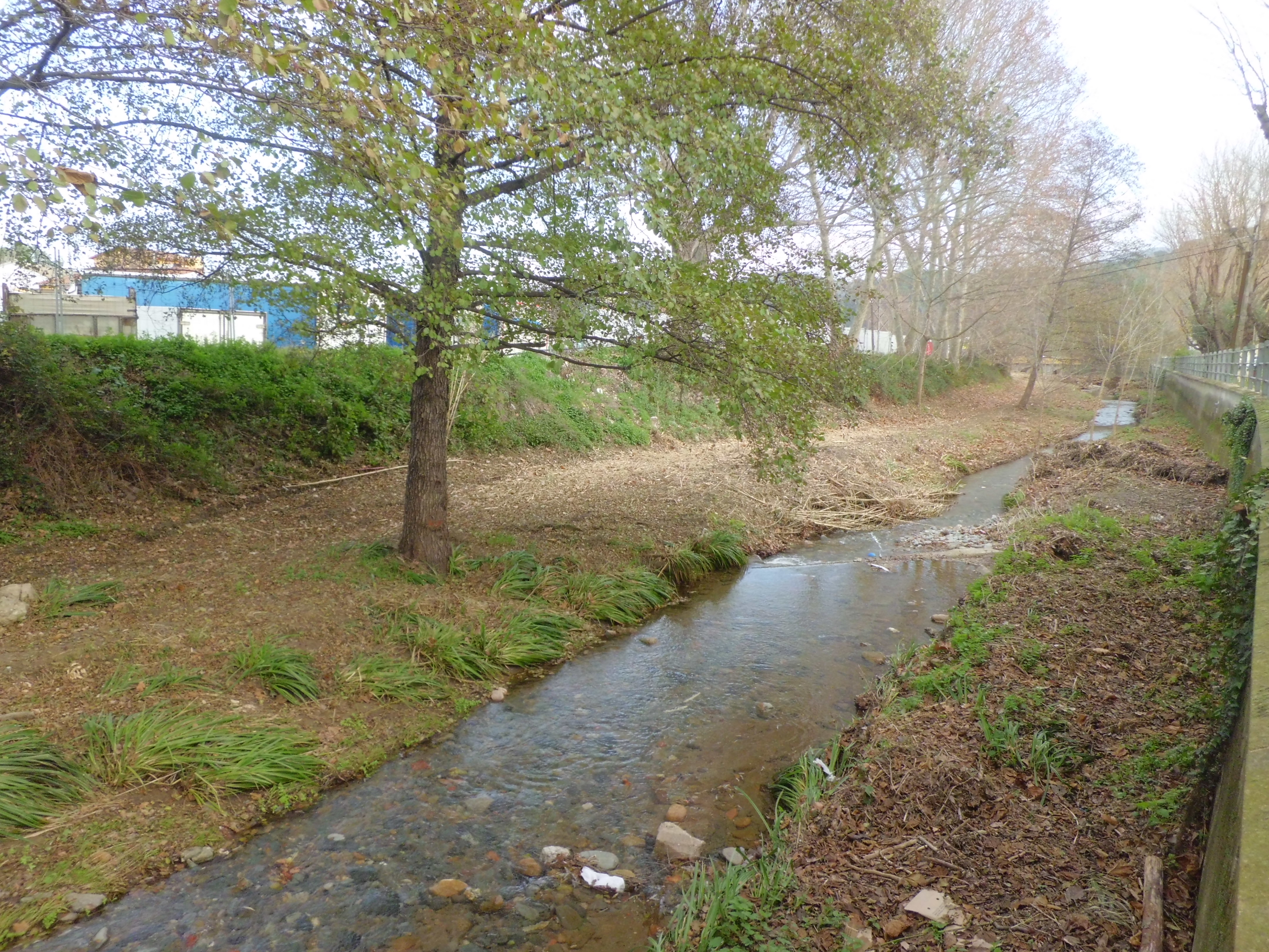 La neteja de la llera s'ha fet per millorar la circulació de l'aigua