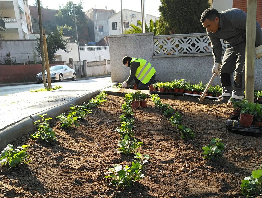 La millora inclou noves plantacions de jardineria