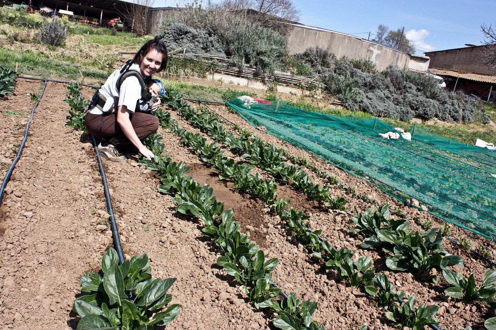 l'hort d'El Rave Negre a Gallecs