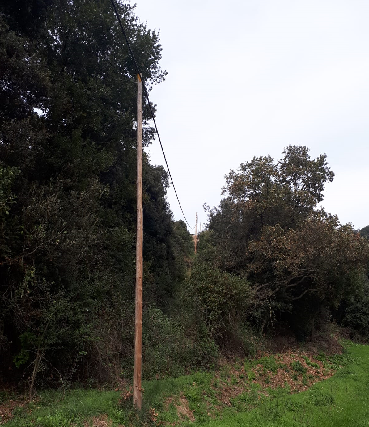 Un tram de línia elèctrica amb el cable trenat