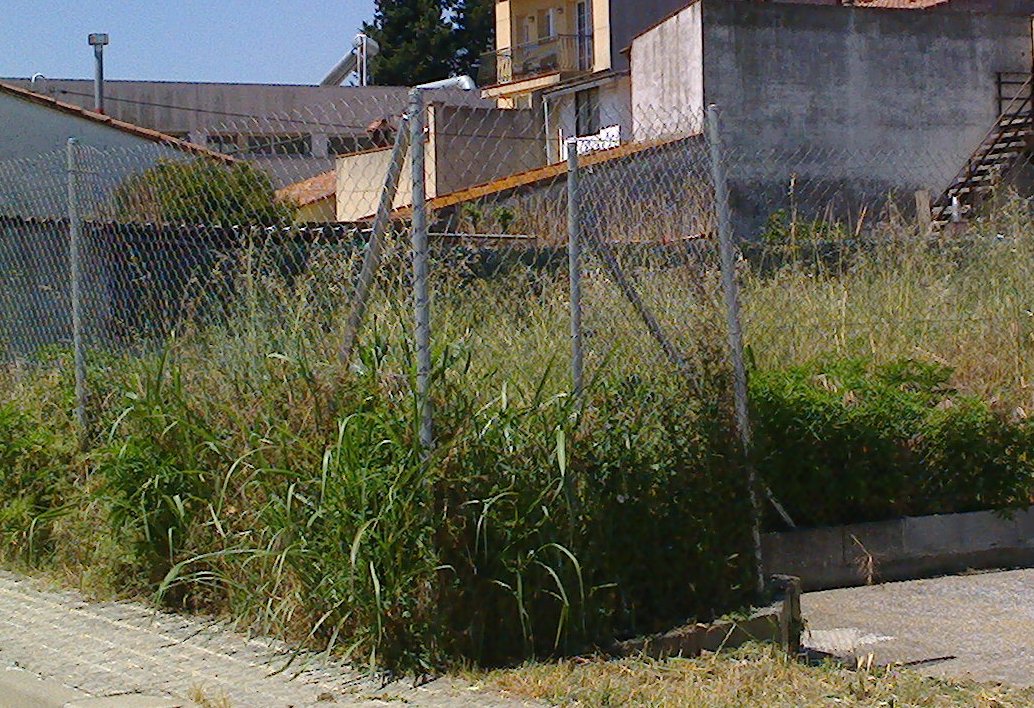 Un solar del carrer del Rec