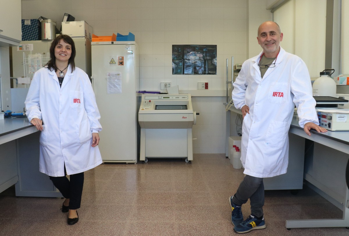 Júlia Vergara-Alert i Joaquim Segalés als laboratoris de l'IRTA