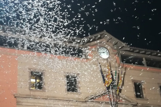 La façana de l'Ajuntament de Ripoll plena de papallones del boix l'estiu del 2019
