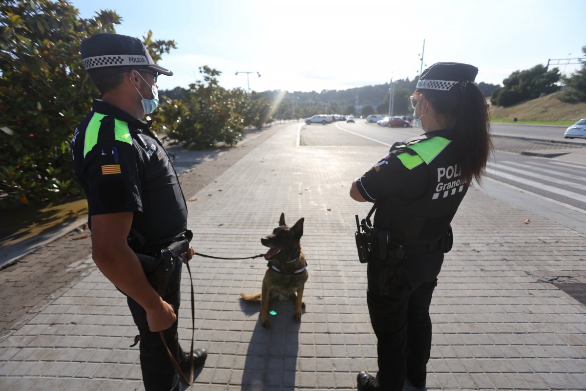 La patrulla canina de la Policia Local de Granollers està present a la zona