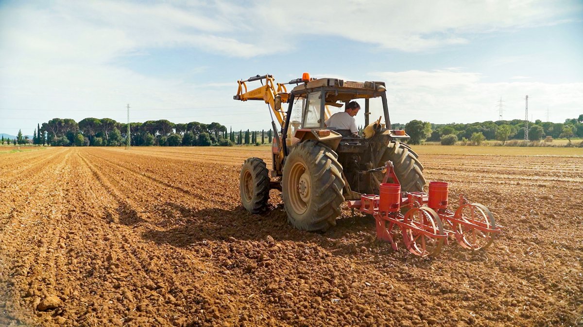Un tractor sembra mongetes del ganxet a Llerona, en una imatge del documental que s'està rodant