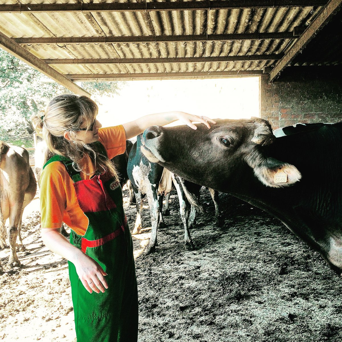 Cristina Clavell amb una de les vaques de l'explotació