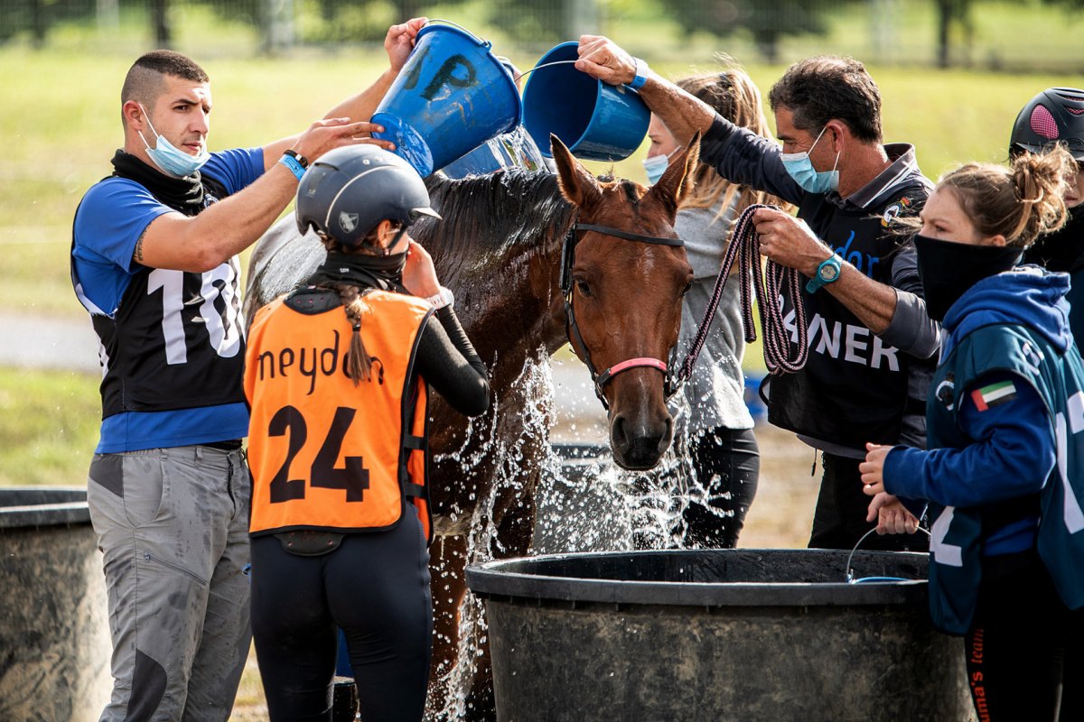 Membres de l'Endurance Club Hípic refresquen un cavall