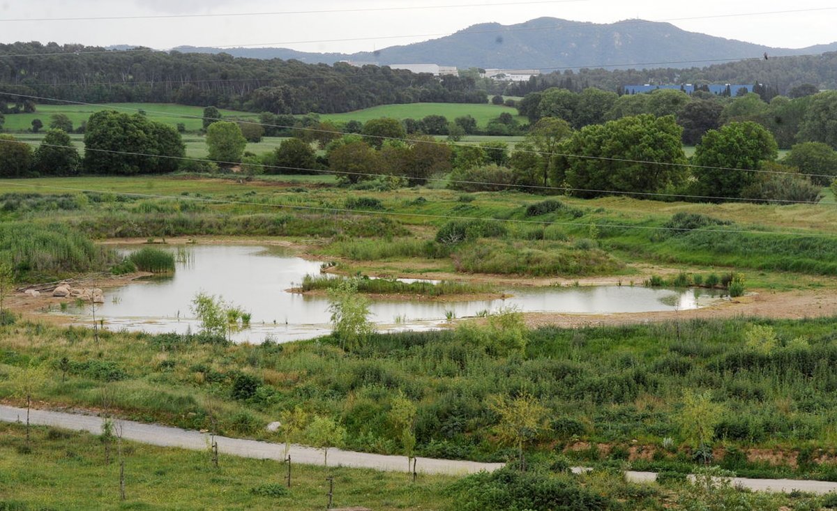La bassa de Can Dunyó en una imatge d'arxiu
