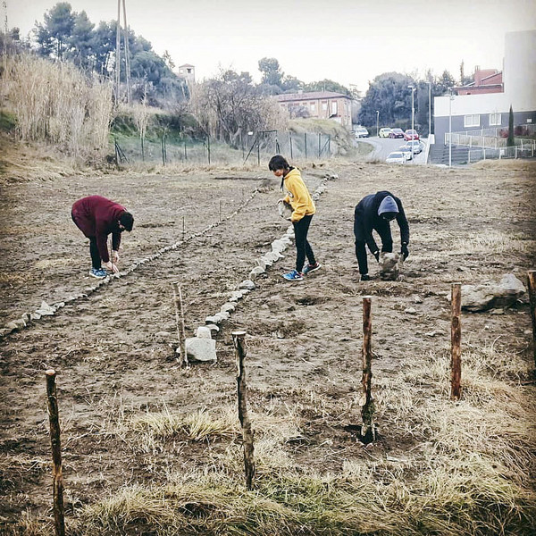 Alumnes de l'escola de La Gleva preparant el terreny