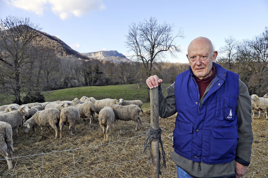 Josep Fatjó-Vilas, vicepresident d’Asaja a Catalunya, amb les ovelles que té a la finca de Les Vilas, a Rupit i Pruit