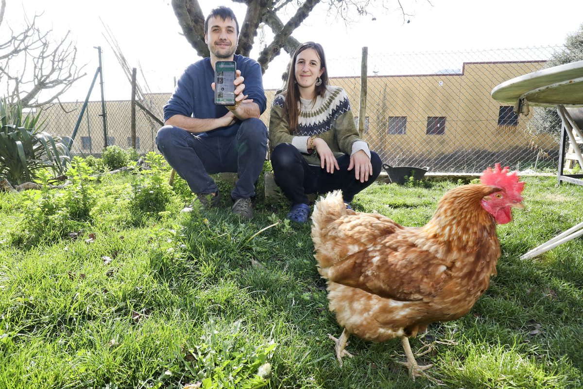 Giralt i Vergés ensenyant al mòbil la interfície de l’aplicació a casa seva, on també tenen un hort i gallines