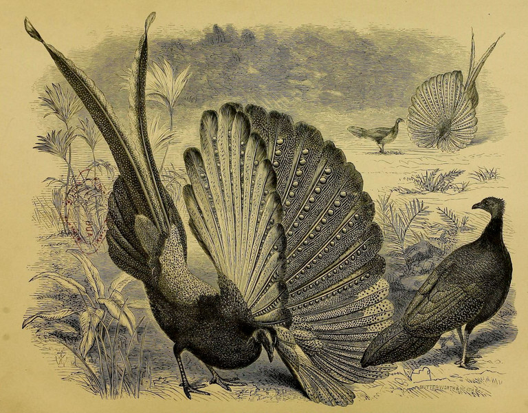 Els joves són el nostre futur i també el nostre present