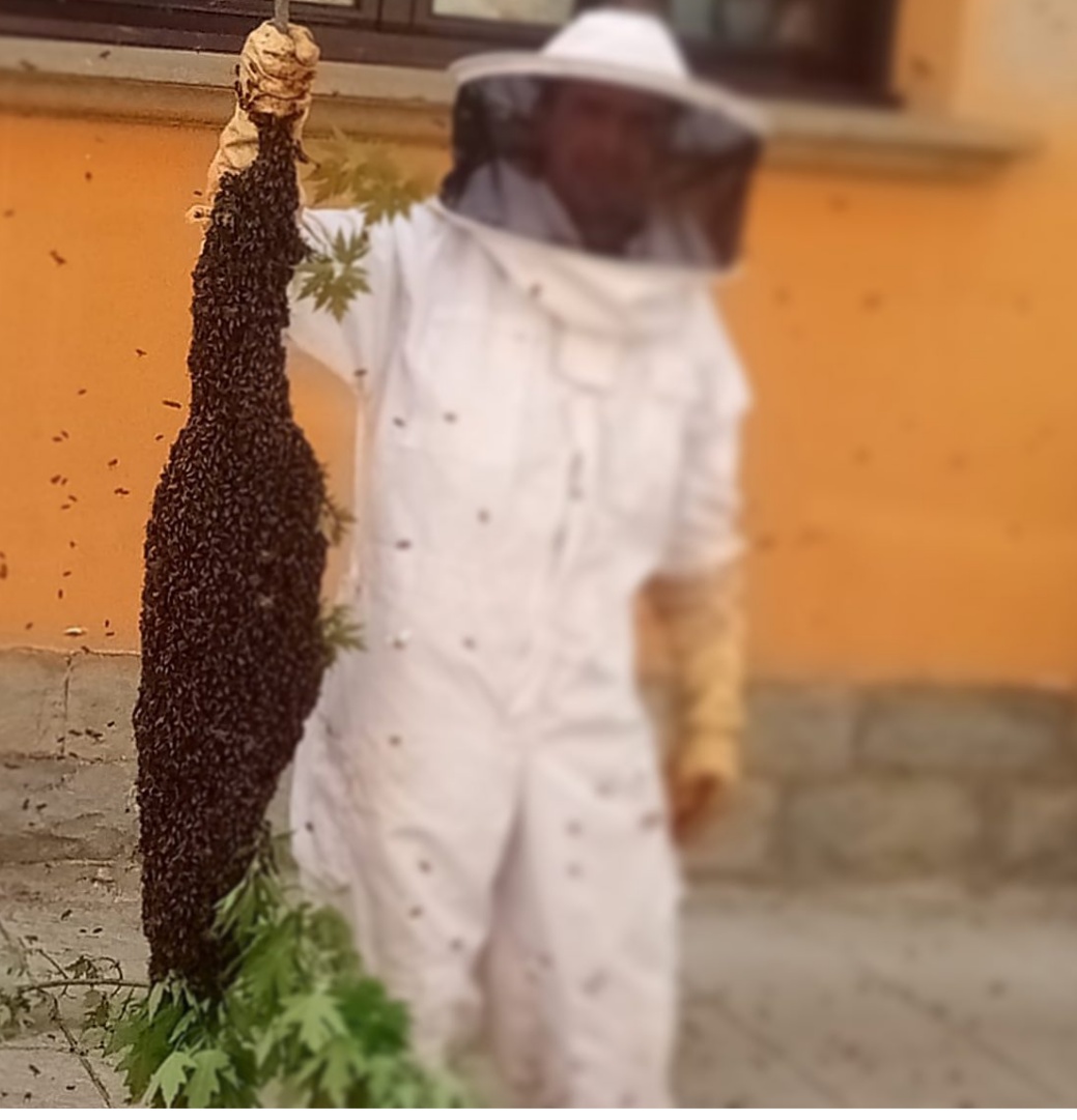 Jordi Bosch amb l'eixam d'abelles